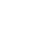 International School