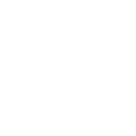 The Walk